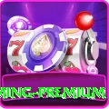 n999 Gaming Premium